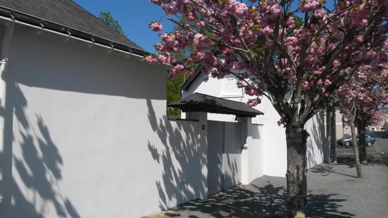 Chambre Et Salon Sur La Loire A Velo Les Ponts-de-Ce Exterior photo
